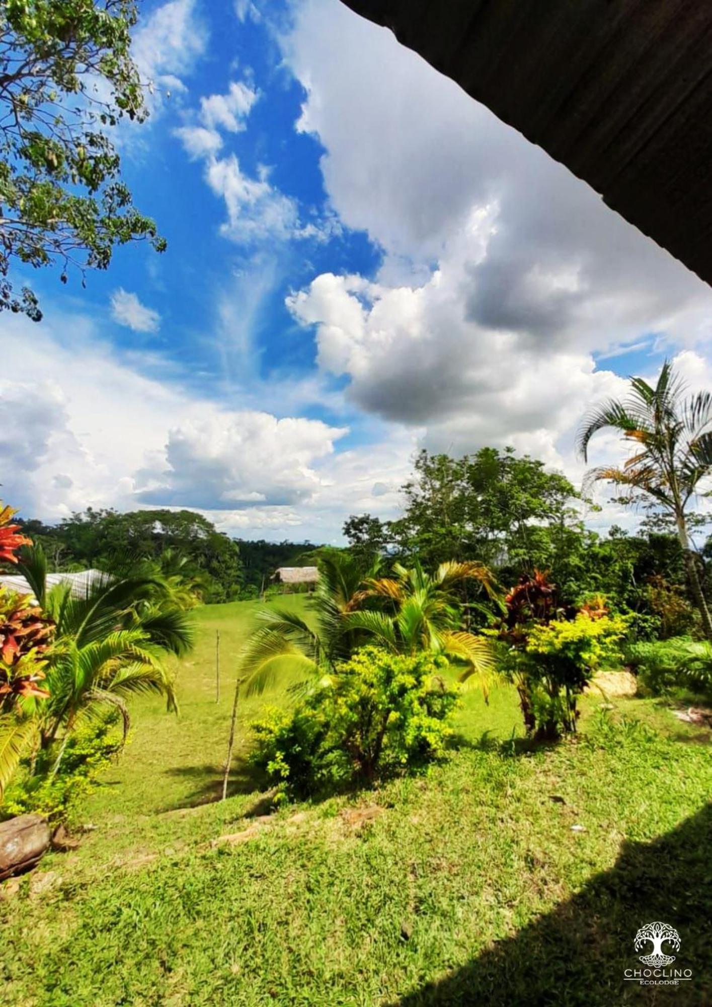 Choclino Ecolodge -Bungalows Tarapoto Kültér fotó