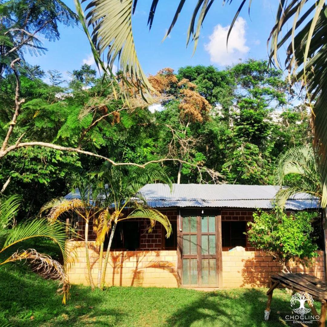 Choclino Ecolodge -Bungalows Tarapoto Kültér fotó