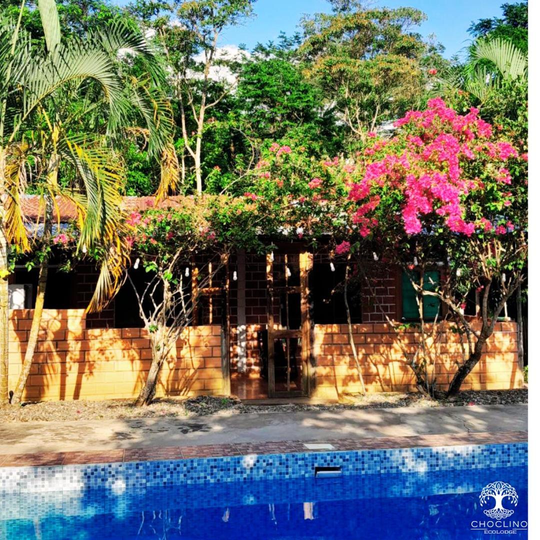 Choclino Ecolodge -Bungalows Tarapoto Kültér fotó