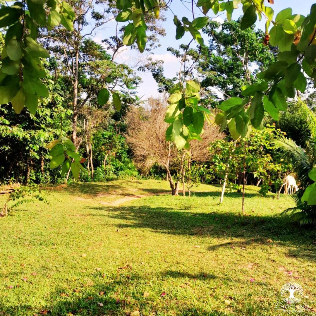 Choclino Ecolodge -Bungalows Tarapoto Kültér fotó