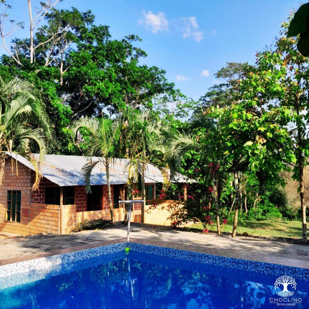 Choclino Ecolodge -Bungalows Tarapoto Kültér fotó