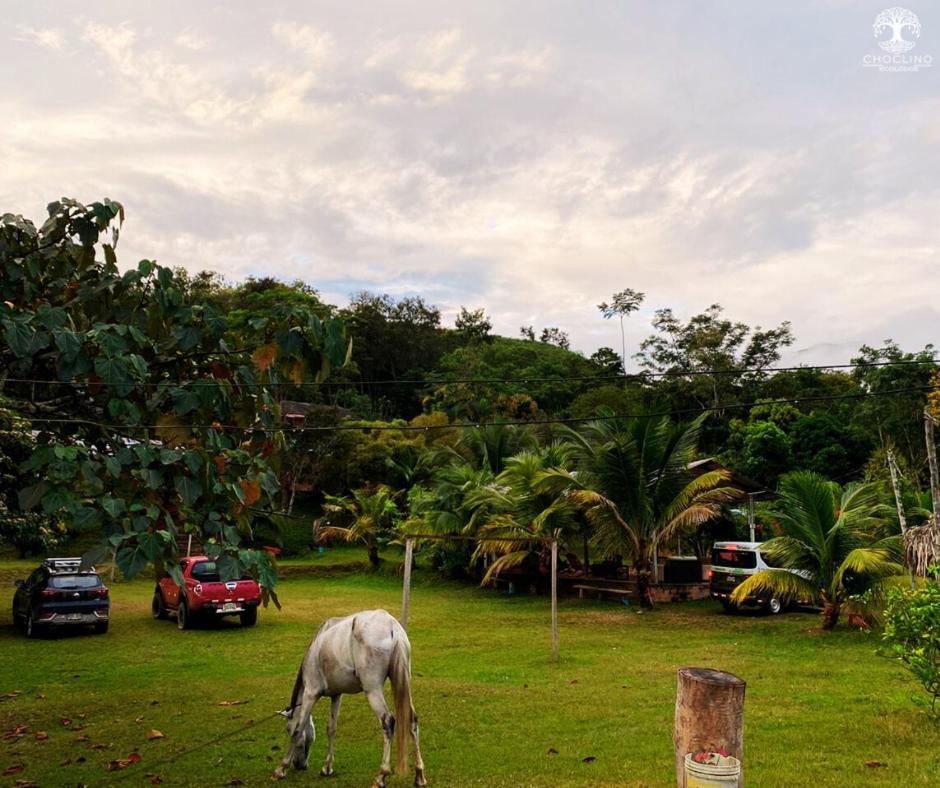 Choclino Ecolodge -Bungalows Tarapoto Kültér fotó