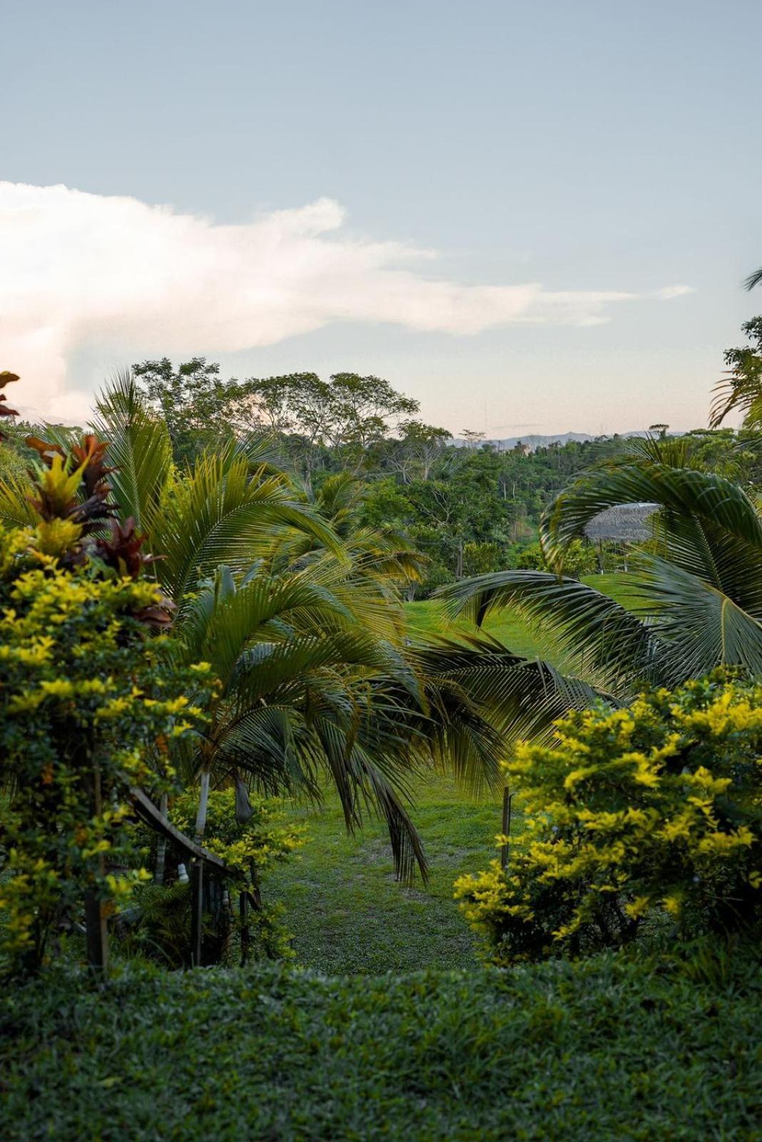 Choclino Ecolodge -Bungalows Tarapoto Kültér fotó