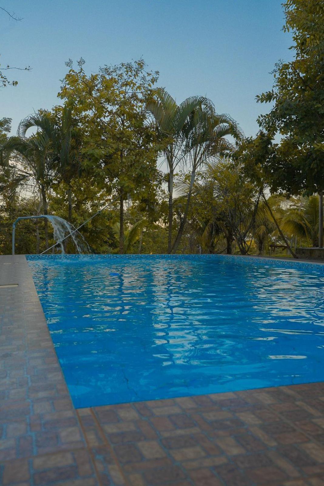 Choclino Ecolodge -Bungalows Tarapoto Kültér fotó